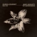 Niko Adriatti - My Experience