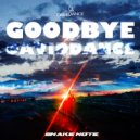 Daviddance - Goodbye (Original mix)