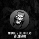 YNSANE, Delighters - Voldemort (Original Mix)