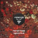 Hernan Bass - Mal Compris