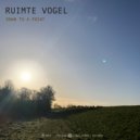 Ruimte Vogel - Down To A Point
