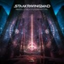 StaakRavingMad - Absolutely Fundamental