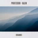 Professor (RO) - Kalin