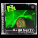 Dj 33 Feat TY - What\'s Shakin (Original Mix)