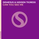 Deme3us & Hidden Tigress - Can You See Me