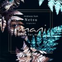 Andreas Sam - Netsu (Original Mix)