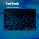 Raul Matis - Over Speed