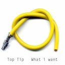 Top Tip - What i want (Radio Edit)