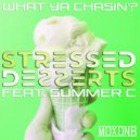 Stressed Desserts feat. Summer C - What Ya Chasin'?