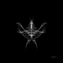 Carara & Erik Thurow - Raw Life (Sandro Galli Remix)