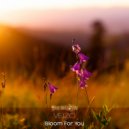 Veizo - Bloom For You