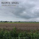 Ruimte Vogel - Dreams (Original Mix)