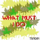 TRNDIN - What must i do