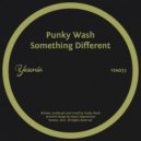 Punky Wash - Something Different