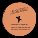 Gruvmake, Joe Junior (Br) - Universe Trip (Original Mix)