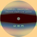 Kamil Grzmiel - Unidentified Flying Object