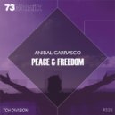 Anibal Carrasco - Our Enemy Is Not Human (Original Mix)