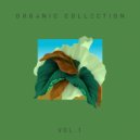 The Organism - Big Pony (Original Mix)