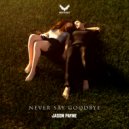 Jason Payne - Never Say Goodbye