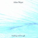 Asher Meyer - Paradoxal Words