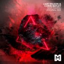 Liam Wilson & Corin Bayley - Not Faking (Original Mix)