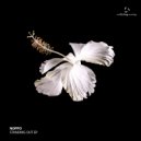 Noppo - Freefall (Original Mix)