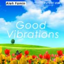 Aleh Famin - Good Vibrations