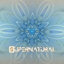 Supernatural - Shine