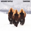 Antichrist Buffalo - Love Triangle Café