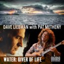 Dave Liebman & Pat Metheny & Billy Hart & Cecil McBee - Water: Giver of Life (feat. Cecil McBee)