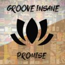 Groove Insane - Promise