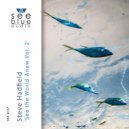 Steve Hadfield - Six-Gilled Shark