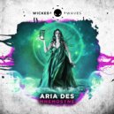 Aria Des - Something For Your Soul