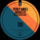 Perky Wires - Rachel Is An Experiment