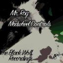 Mr. Rog - The Ceiling