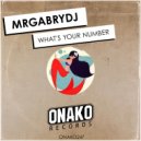 MrGabryDj - What's Your Number