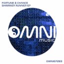 Fortune & Chance - Particular Velocity