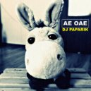 DJ PAPARIK - Ae OaE