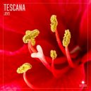 Tescana - Joyo