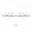 ANMA - Sketch 7 (Lysergist Rhythm Section)