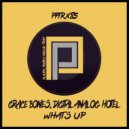 Grace Bones, Digital Analog Hotel - What's Up
