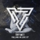 Dry Wet - Falling In Love