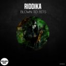 Riddika - Qu5 CV