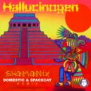 Hallucinogen - Shamanix