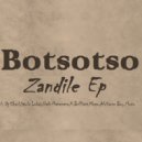 Botsotso feat Mlue Jay, Dopey Pro, Dj Charl,Everything Ghost - Joh