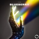 Vide - Blueberry