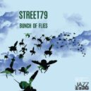 Street79 - Bunch of Flies