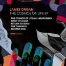 James Organ feat. Lazarusman - The Cosmos Of Life