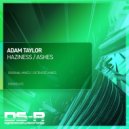 Adam Taylor - Haziness