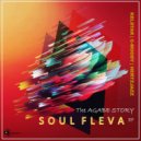 Soul Fleva & Hertzjazz - Toxic Love (Original Mix)